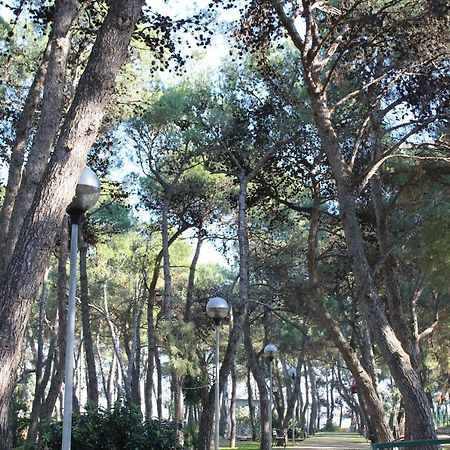 루보디풀리아 La Pigna B&B 외부 사진